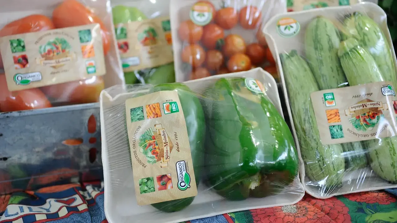 Por que cenouras, tomates e abacates podem ajudar a rejuvenescer? Entenda o potencial nutricional