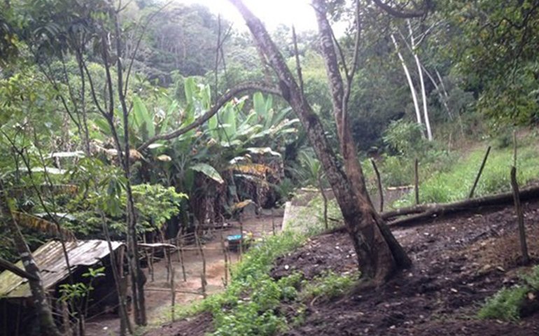 Fiscalização eletrônica deve diminuir número de acidentes em Maceió