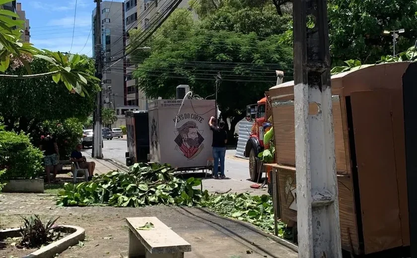 Rede elétrica e food truck são atingidos por árvore na Ponta Verde