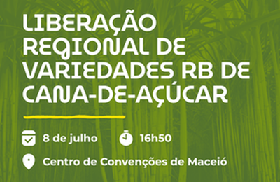 Setor sucroenergético ganha novas variedades de cana com participação da Ufal