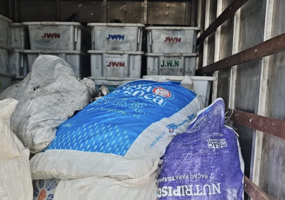 PRF apreende 900 kg de peixe transportado sem refrigeração e em contato com diesel em Canapi