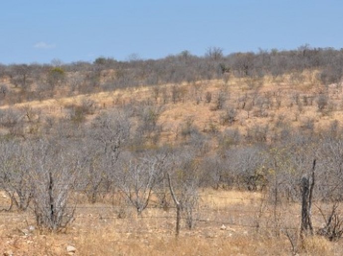 Semarh promove ações para o dia de Combate à Desertificação do Solo
