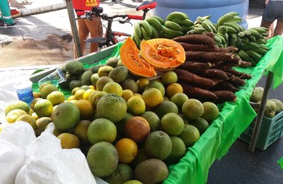 Feira Orgânica retorna à orla de Ponta Verde neste domingo (8)  