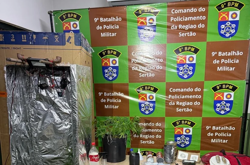 PM flagra estufa artesanal de maconha durante abordagem em Delmiro Gouveia