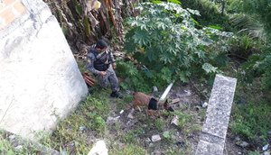 Suspeito de traficar drogas dentro de casa é preso em Nossa Senhora do Socorro