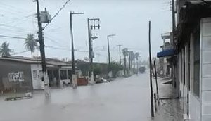 são cris / Foto: Foto: Divulgação