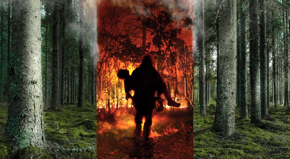 climate-change-concept-collage.jpg