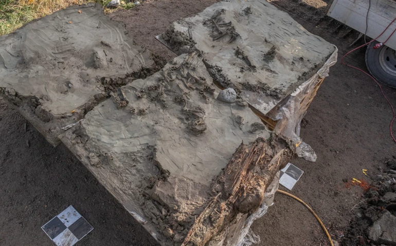 Arqueólogos descobrem cão neolítico enterrado com adaga em ritual de 5.000 anos na Suécia