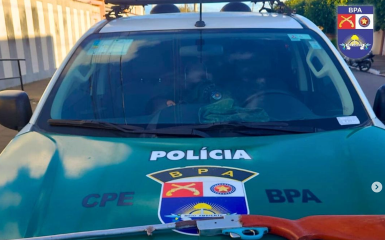 BPA apreende espingarda e resgata aves silvestres em Arapiraca