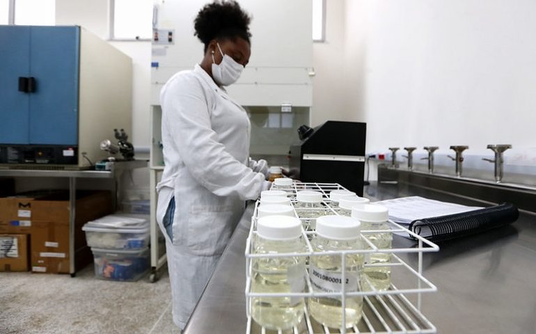 Comissão debate acesso ao trabalho digno para jovens mulheres negras