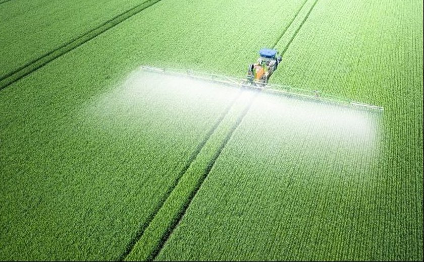 Comissão debate o uso de defensivos agrícolas neonicotinóides