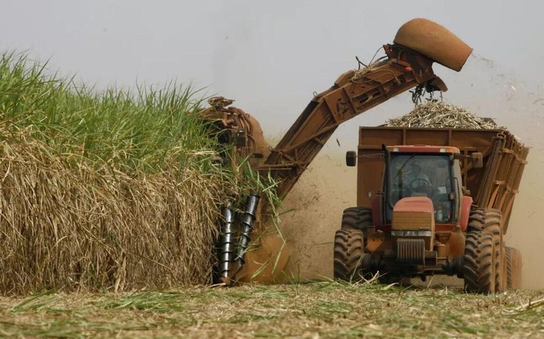 A nova fronteira do agro: como o Brasil pode liderar a IA na agricultura