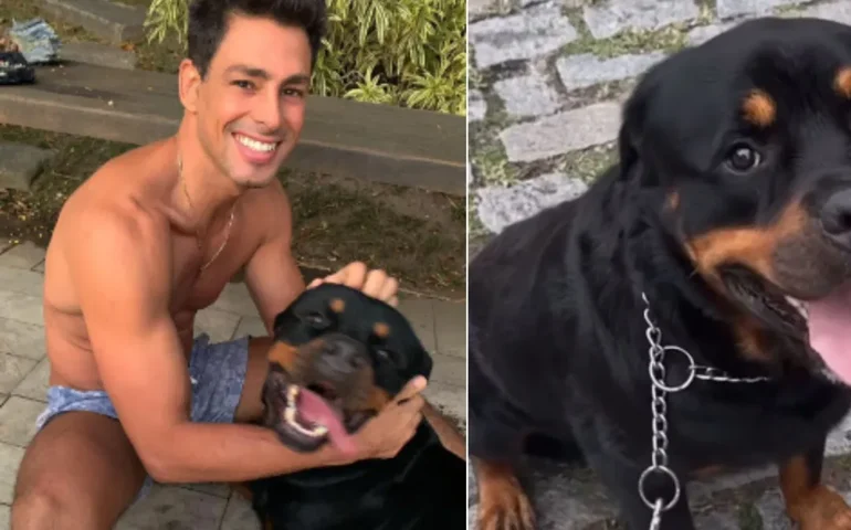 Cauã Reymond lamenta morte de cachorro por envenenamento