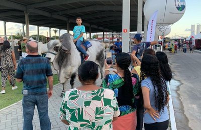 Confira a programação deste domingo (29), último dia da 73ª Expoagro/AL