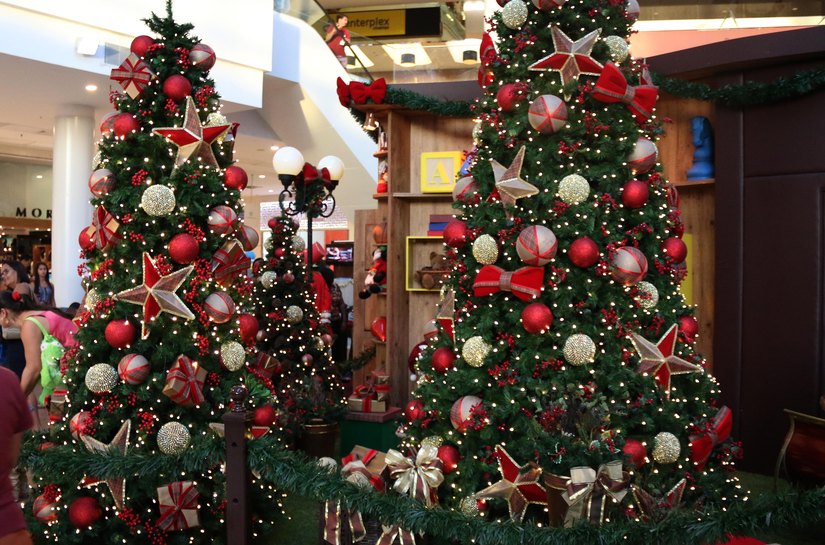 Pátio Maceió funciona normalmente nesta terça-feira (15)