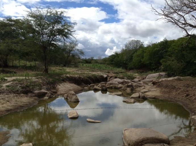 AL sedia seminário e curso internacional de convivência com o Semiárido