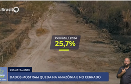 Dados mostram queda do desmatamento no Cerrado e na Amazônia