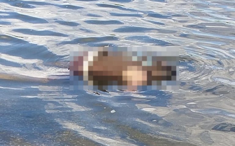 PC investiga morte de jovem encontrado com marcas de tiros no Vergel do Lago