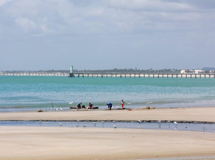 Renasce Salgadinho combate poluição e melhora balneabilidade das praias