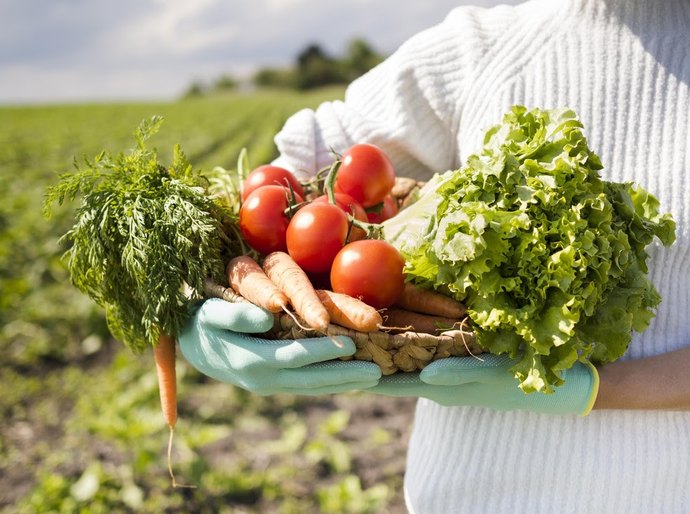 Agricultura familiar respondeu por quase 80% dos contratos do Plano Safra 2025/2026