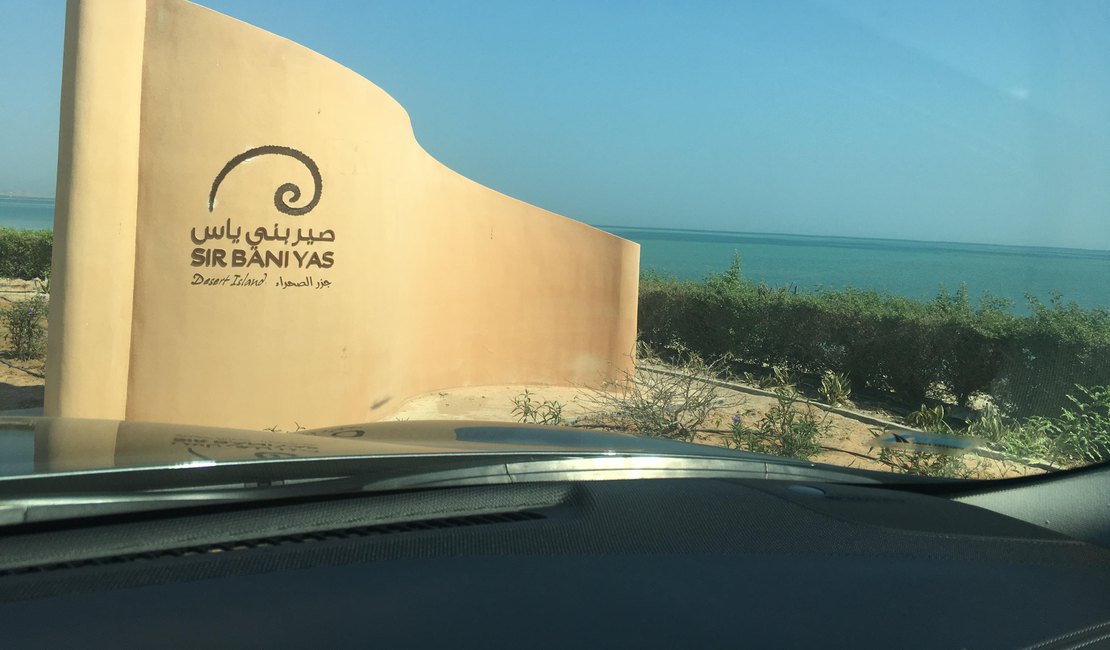 Ilha Sir Bani Yas: Luxo e natureza preservada nos Emirados Árabes Unidos.