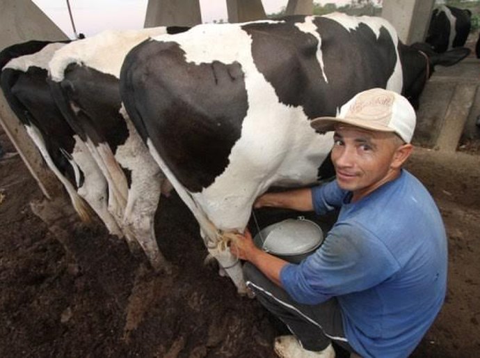 Fecoep garante R$ 8,8 milhões para o Programa do Leite em Alagoas