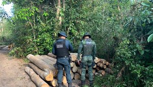 Mais de 80 toras de madeira nativas da Mata Atlântica retiradas de área de reserva legal são apreendidas em Sergipe
