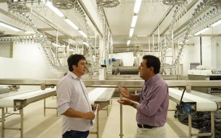 Fiscalização preventiva apreende passáros em feira de Arapiraca