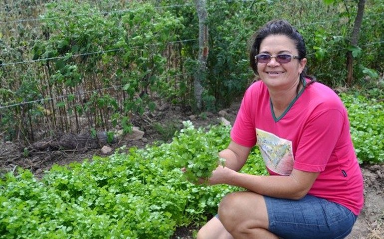 Mulheres sertanejas fortalecem a produção agroecológica da região