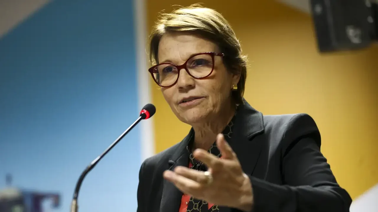 Entrevista: 'Não adianta lançar nome inviável, e as pesquisas apontam Tarcísio, Ratinho e Michelle', diz Tereza Cristina
