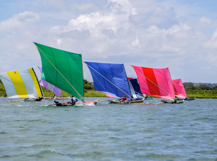 Corrida de canoas promovida pela Prefeitura de Penedo valoriza tradição da região ribeirinha