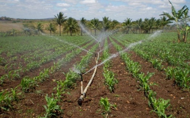 Governo de Alagoas e Codevasf assinam convênio