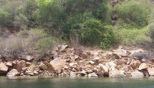rio são francisco