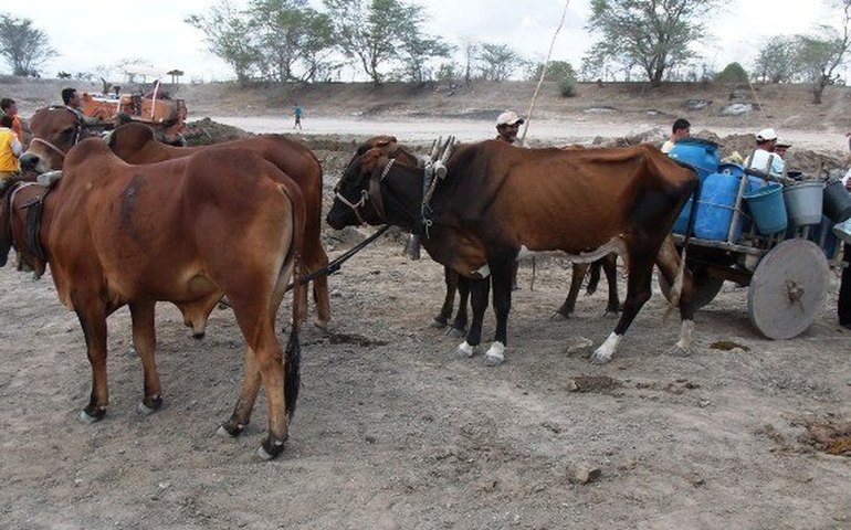 Estiagem leva Estado a decretar situação de emergência em 36 municípios