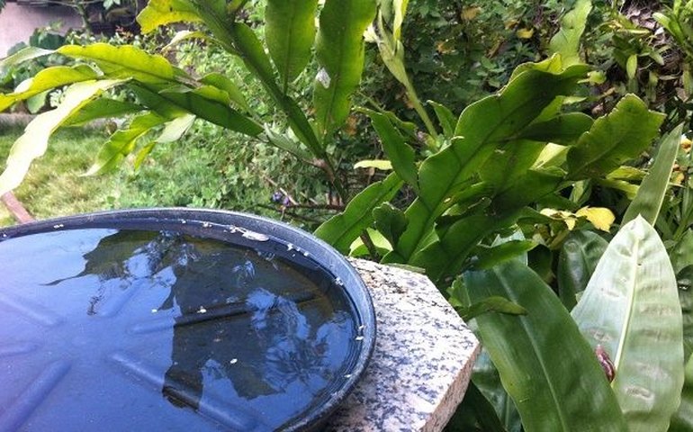 Agreste Saneamento alerta para cuidados com reservatórios de água