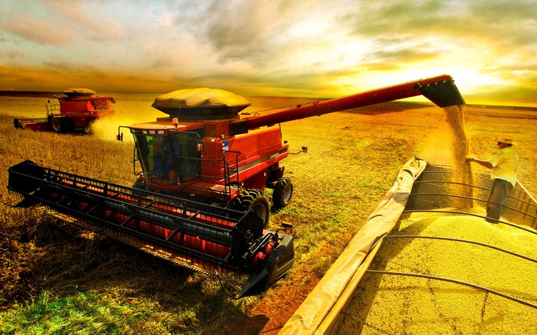 CNA revisa para baixo estimativa de crescimento do PIB agropecuário de 2020