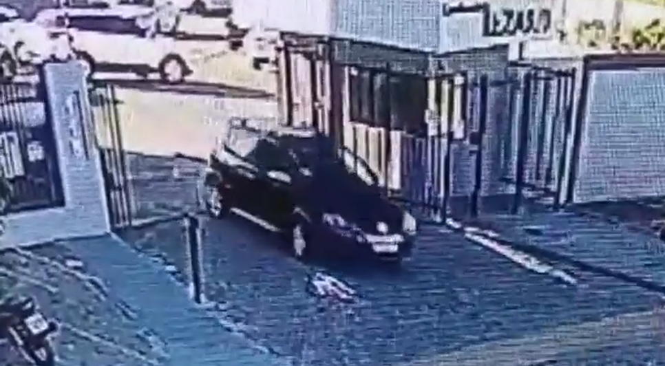 Atropelamento de cachorro em Lagarto é investigado pela Polícia Civil / Foto: Foto: Reprodução/Portal A8SE