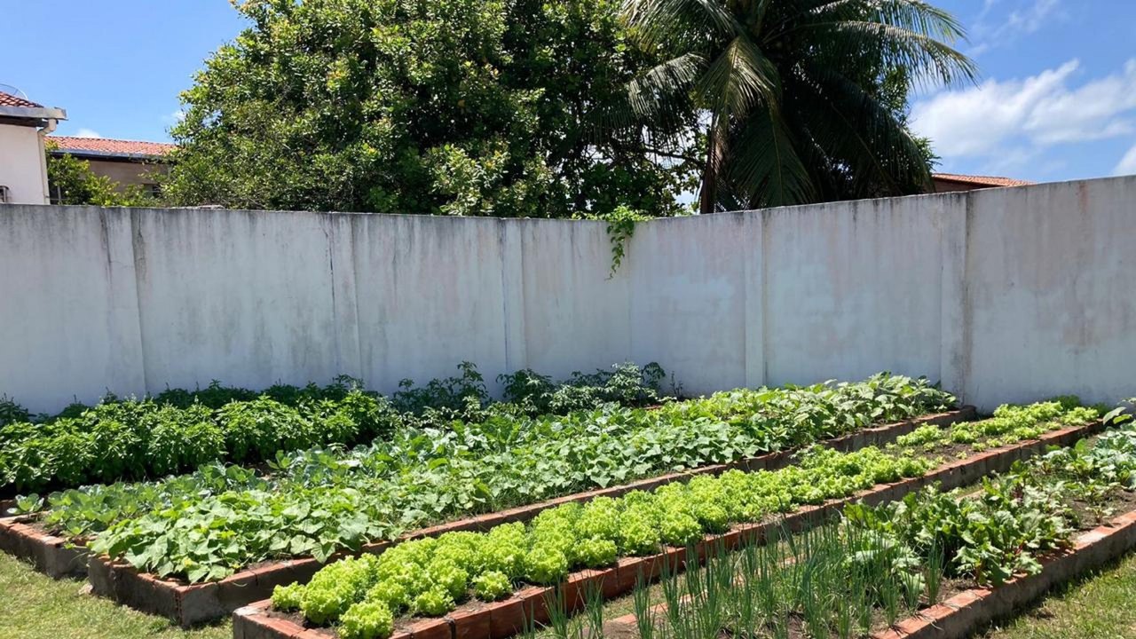 Governo de Alagoas entrega nova horta urbana no Conjunto Residencial Graciliano Ramos