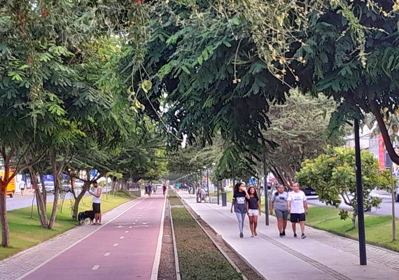 Obras de urbanização projetam Arapiraca para as próximas gerações