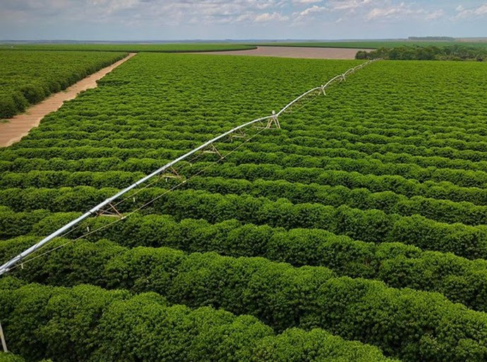 Sistema nacional aprimora manejo da irrigação e uso eficiente da água