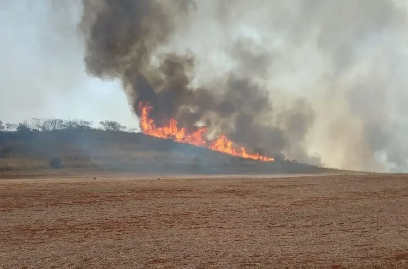 Crise climática pode provocar nova extinção em massa, diz pesquisador