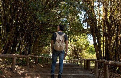 Ministério do Turismo fortalece ações em Parques Nacionais para promover o turismo sustentável