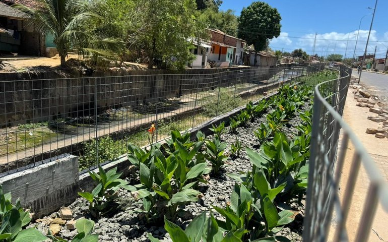 Vice-prefeito e secretário da Seminfra destaca papel dos jardins filtrantes no Renasce Salgadinho