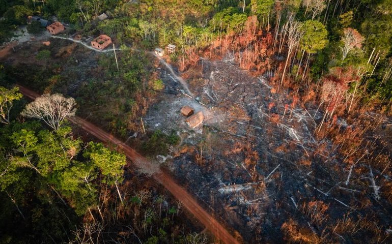Justiça bloqueia R$ 49 milhões por queimada de mais de 2,6 mil hectares
