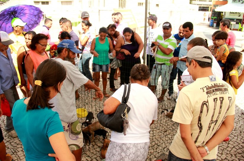 Prefeitura de Arapiraca incentiva adoção de filhotes do Centro de Zoonoses