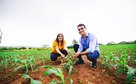 JHC lança programa “Banco do Agricultor” para incentivar pequenos produtores rurais com crédito de até R$ 20 mil