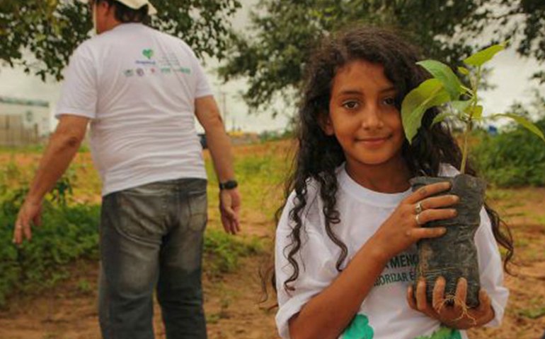 Com Dia da Árvore, Arapiraca está ficando cada vez mais verde