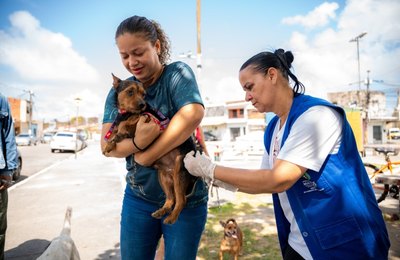 Prefeitura de Maceió realiza último dia de vacinação antirrábica no próximo sábado