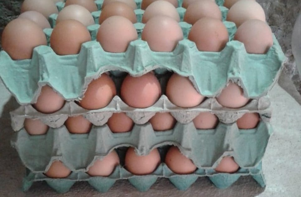 OVOS