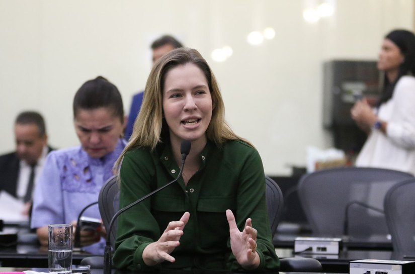 ALE aprova lei proibindo fogos de artifício com estampido; 'Dia que entra para a história', comemora Cibele Moura